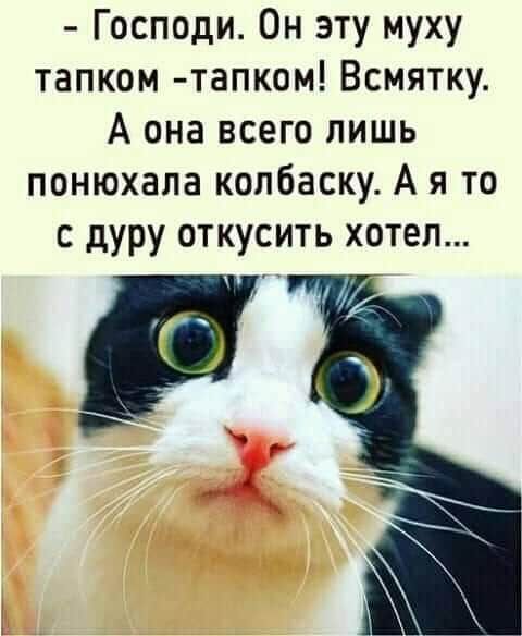 – Господи. Он эту муху тапком –тапком! Всмятку. А она всего лишь понюхала колбаску. А я то с дура откусить хотел...