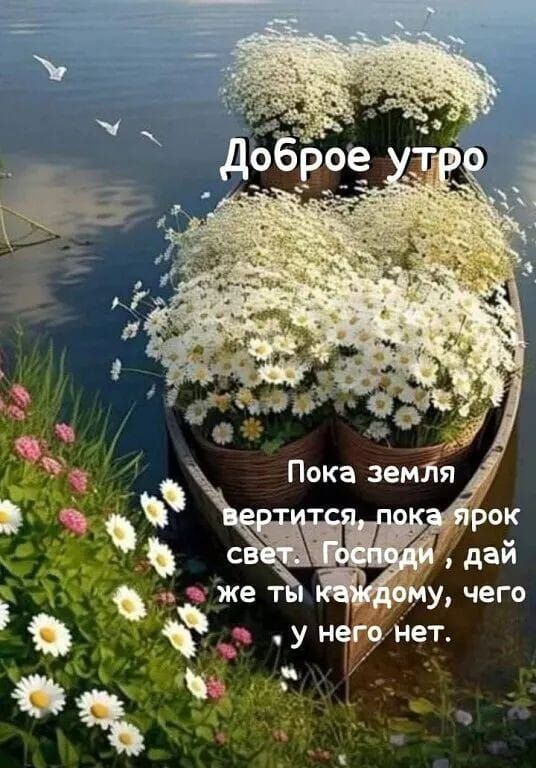 Доброе утро
Пока земля вертится, пока ярок свет. Господи, дай же ты каждому, чего у него нет.