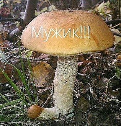 Мужик!!!