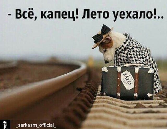 – Всё, капец! Лето уехало!.