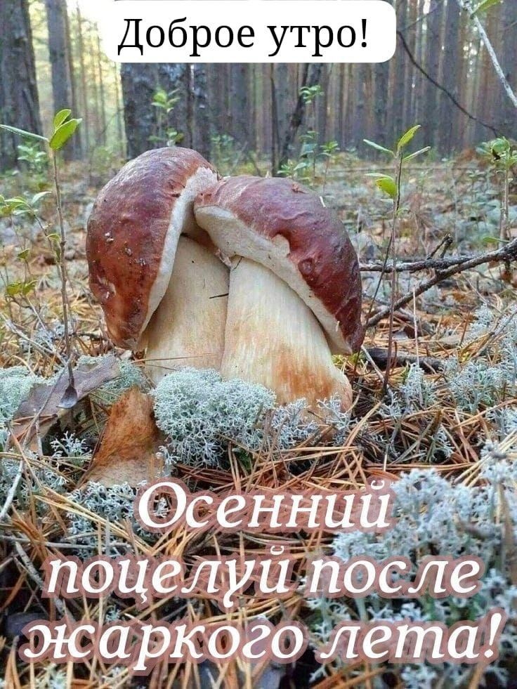 Доброе утро! Осенний поцелуй после жаркого лета!