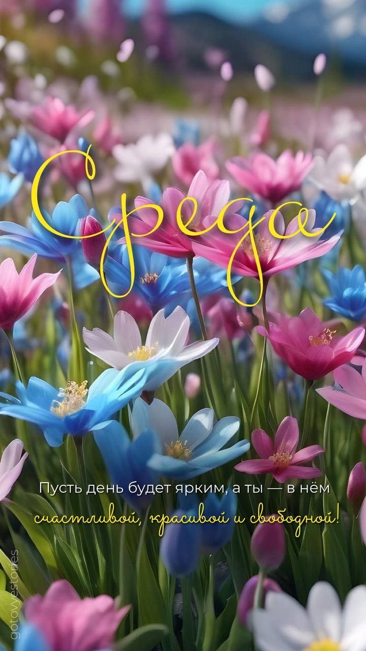 Среда
Пусть день будет ярким, а ты — в нём счастливой, красивой и свободной!