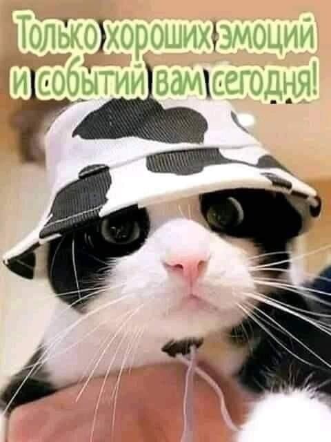 Только хороших эмоций и событий вам сегодня!