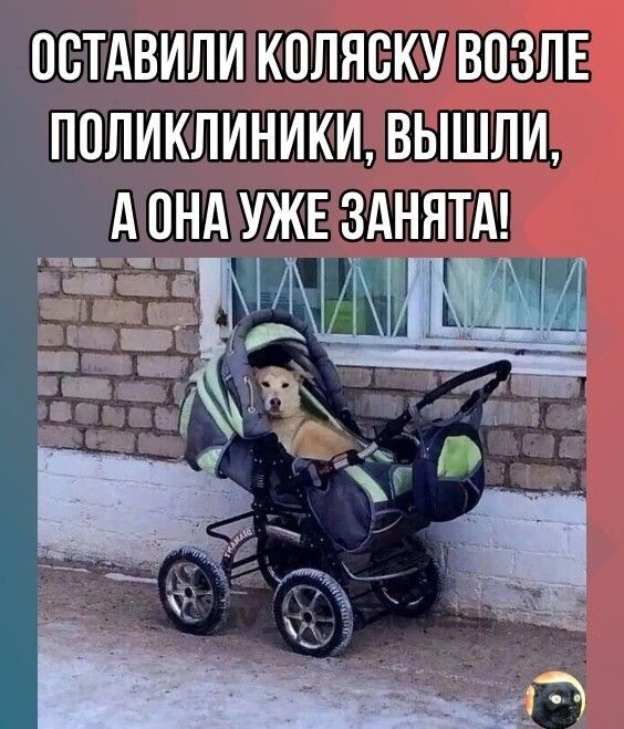 ОСТАВИЛИ КОЛЯСКУ ВОЗЛЕ ПОЛИКЛИНИКИ, ВЫШЛИ, А ОНА УЖЕ ЗАНЯТА!