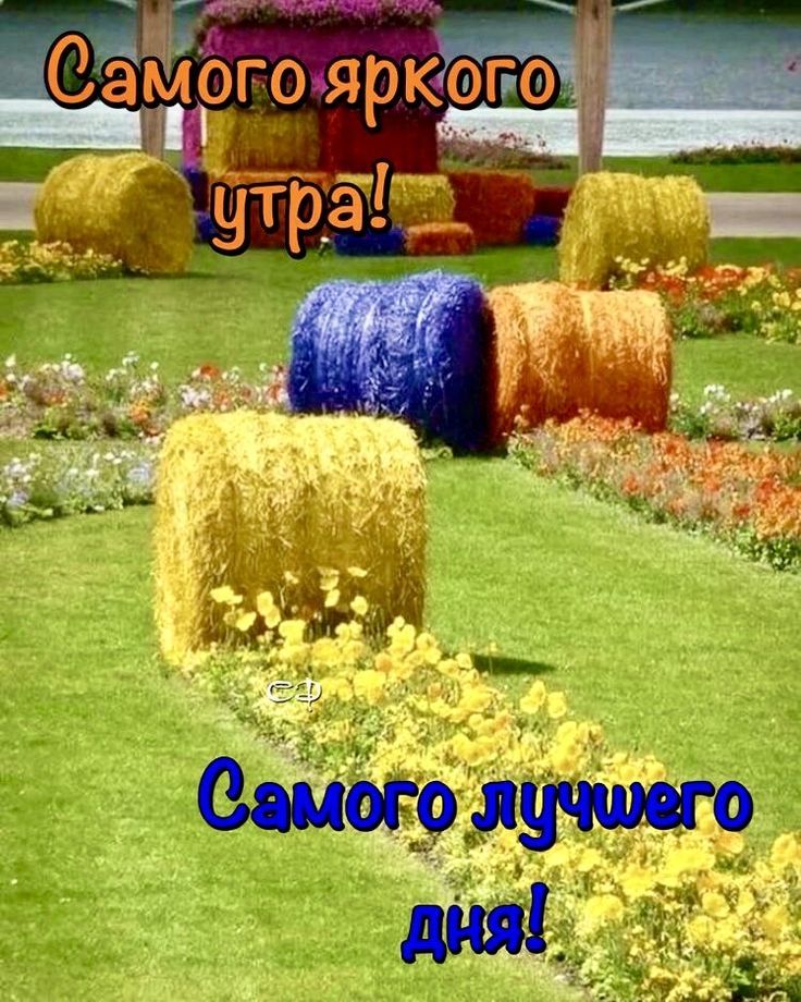 Самого яркого утра! Самого лучшего дня!