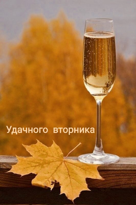 Удачного вторника