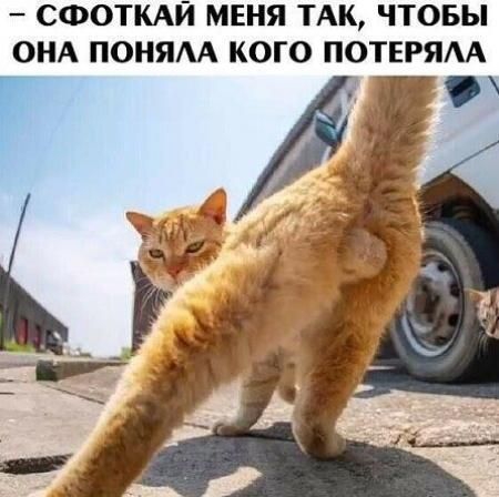 – СФОТКАЙ МЕНЯ ТАК, ЧТОБЫ ОНА ПОНЯЛА КОГО ПОТЕРЯЛА
