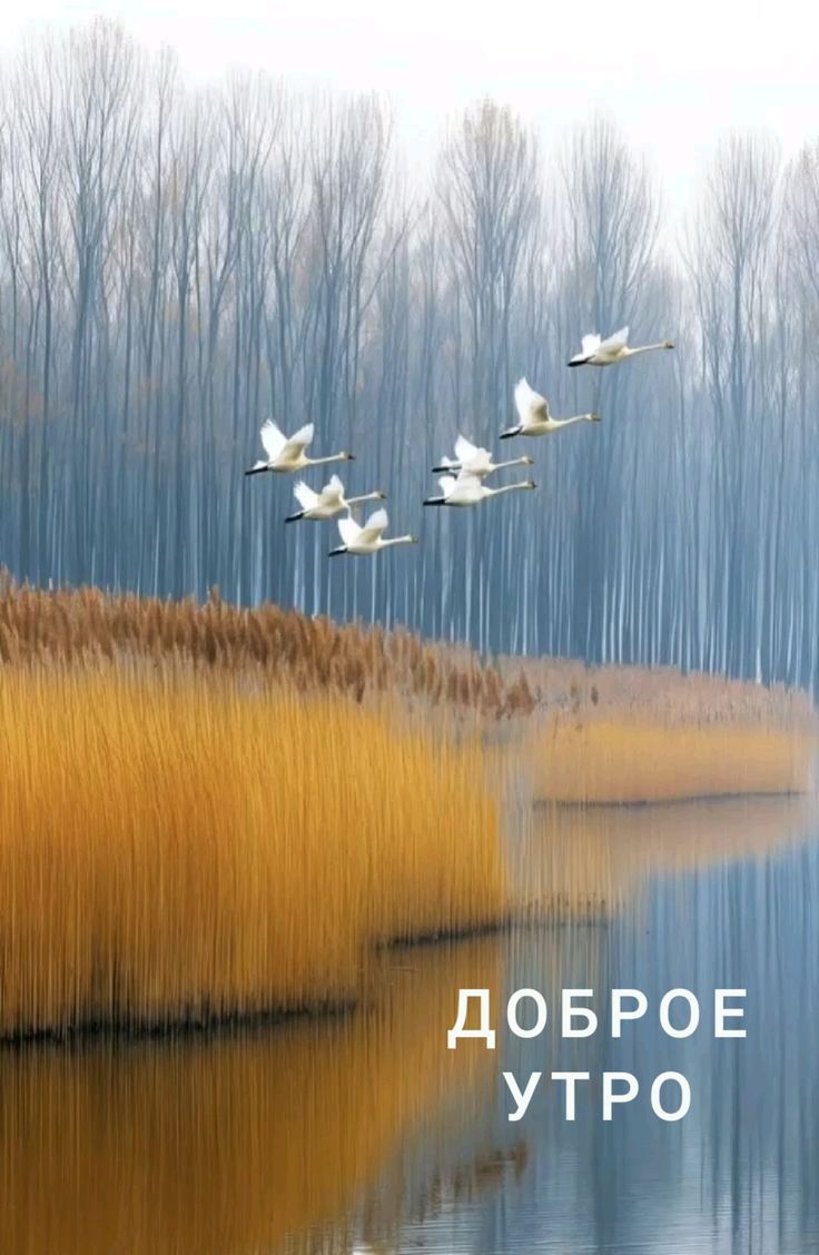 ДОБРОЕ УТРО