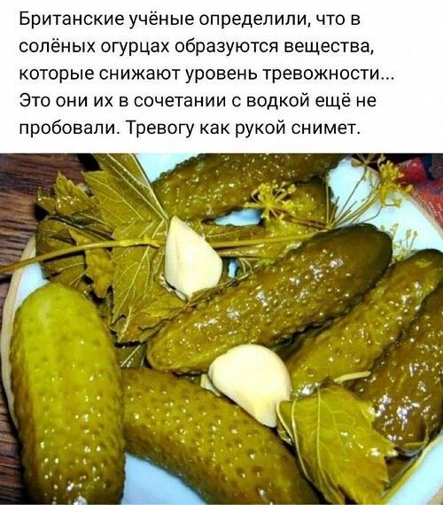 Британские учёные определили, что в солёных огурцах образуются вещества, которые снижают уровень тревожности... Это они их в сочетании с водкой ещё не пробовали. Тревогу как рукой снимет.