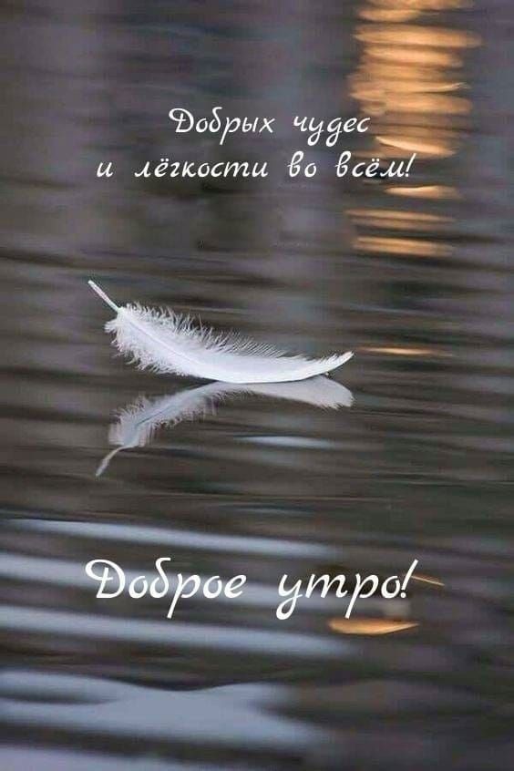 Добрых чудес и лёгкости во всём! Доброе утро!