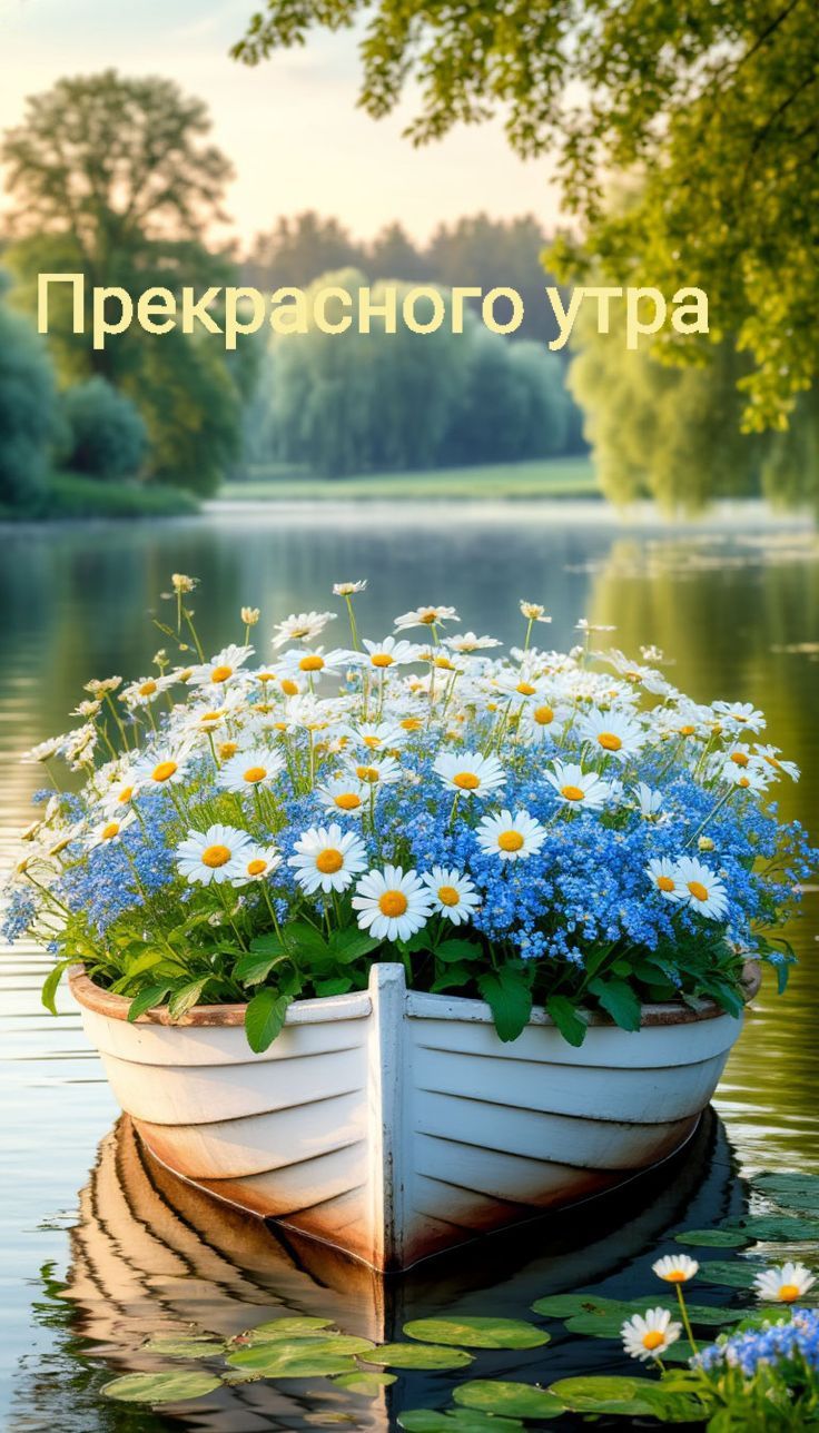 Прекрасного утра