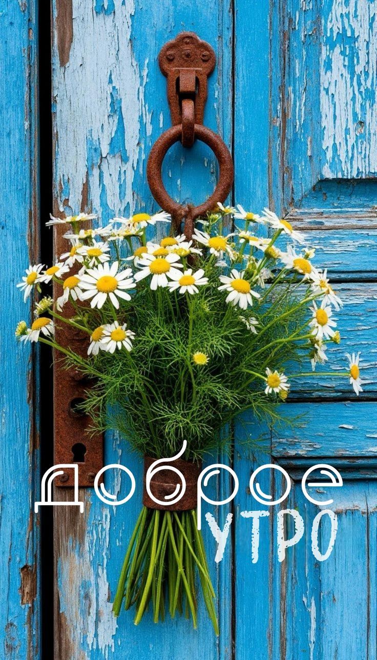 доброе УТРО