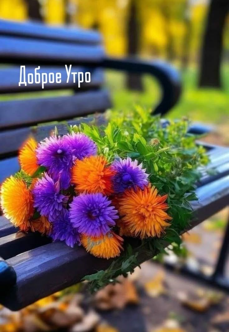Доброе Утро