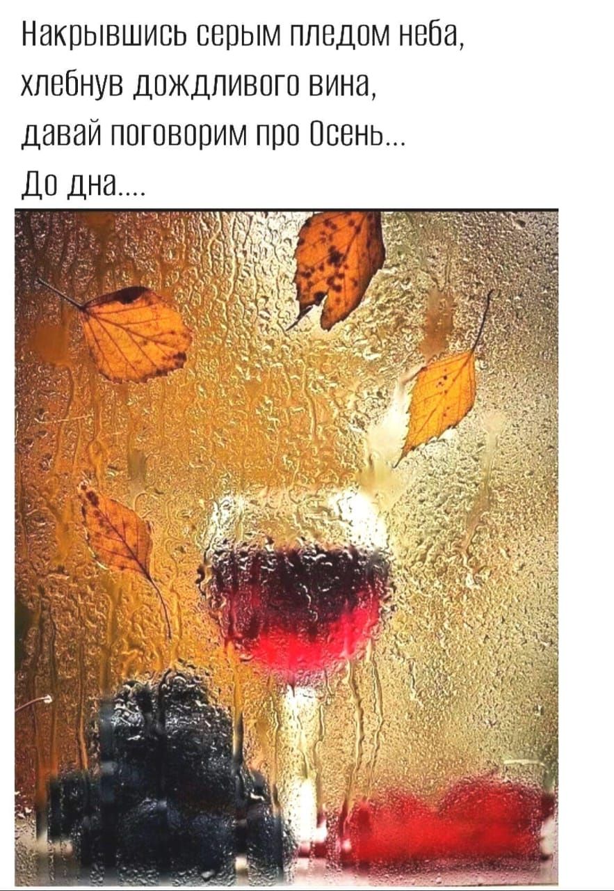 Накрывшись серым пледом неба,
хлебнув дождливого вина,
давай поговорим про Осень...
До дна....