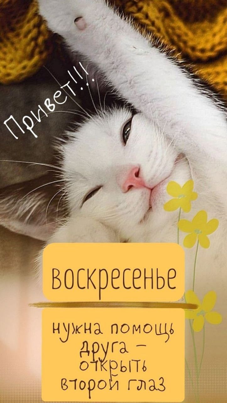 Привет!!!
воскресенье
нужна помощь друга – открыть второй глаз