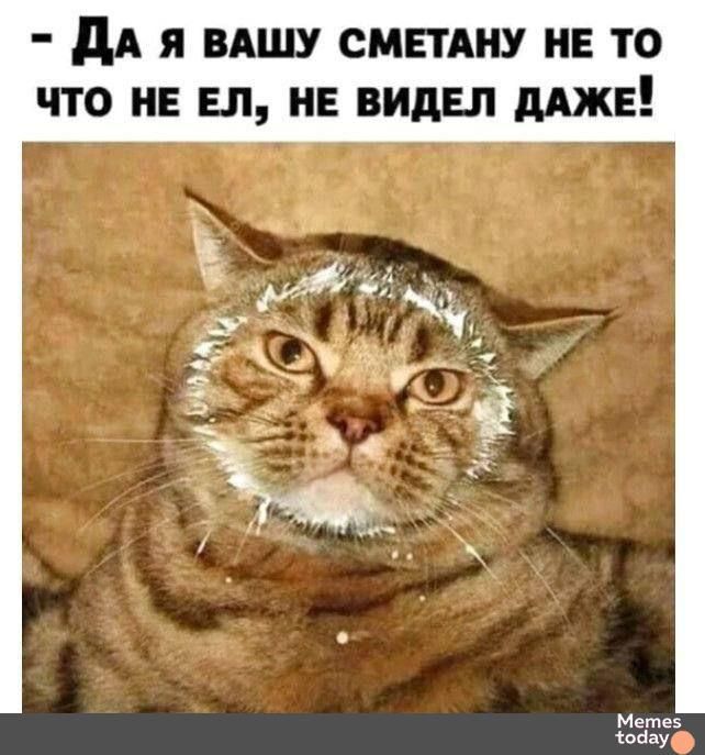 - Да я вашу сметану не то что не ел, не видел даже!