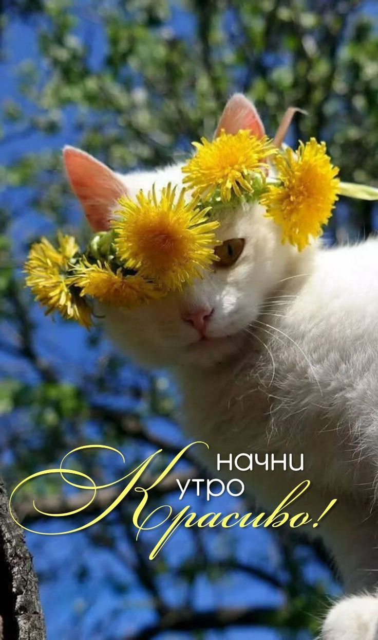 начни утро красиво!