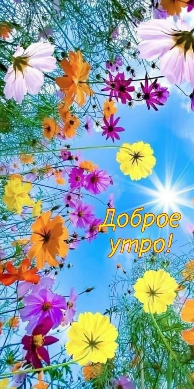 Доброе утро!