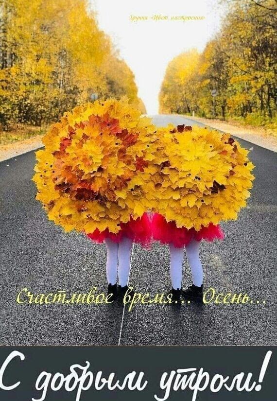Счастливое время... Осень...
С добрым утром!