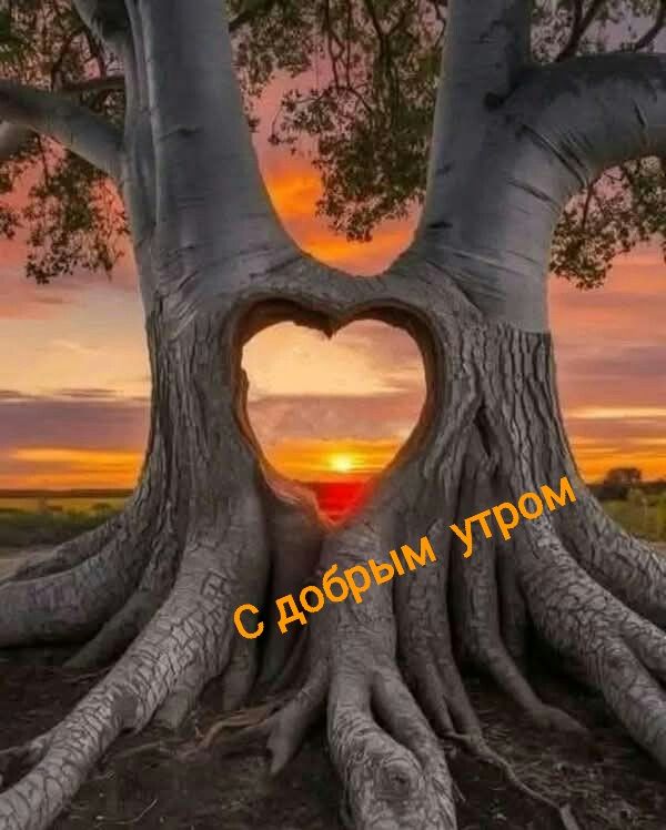 С добрым утром