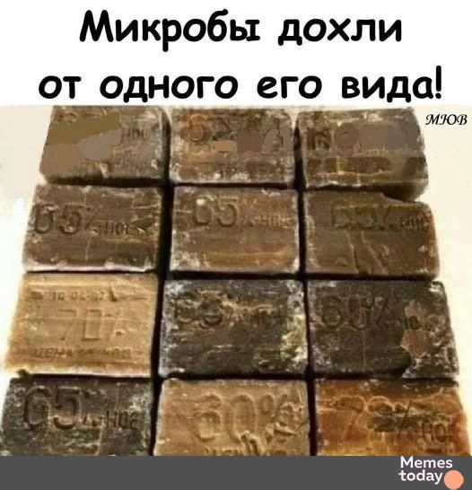 Микробы дохли от одного его вида!