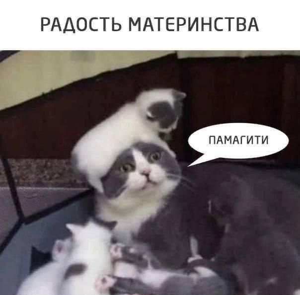 РАДОСТЬ МАТЕРИНСТВА
ПАМАГИТИ