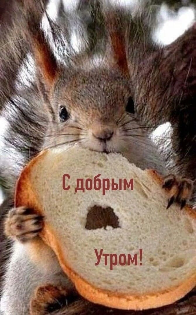 С добрым Утром!