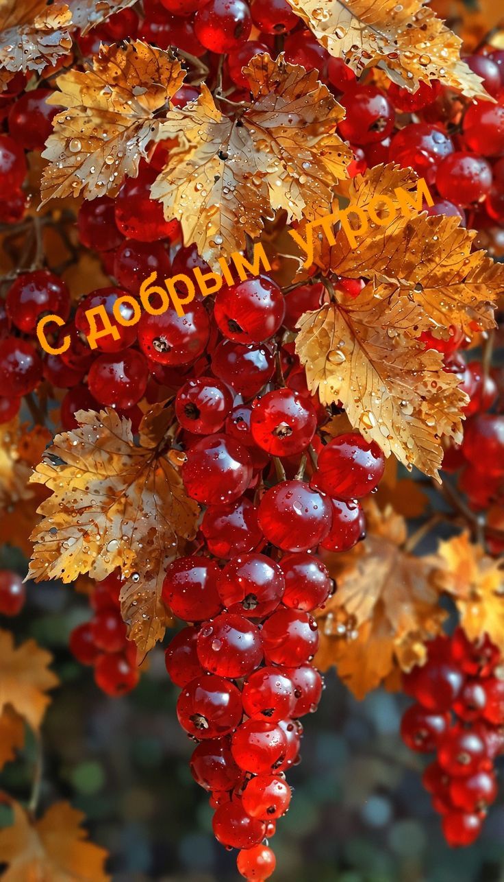 С добрым утром