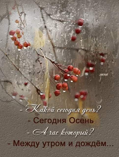 - Какой сегодня день? 
- Сегодня Осень 
- А час который? 
- Между утром и дождём...
