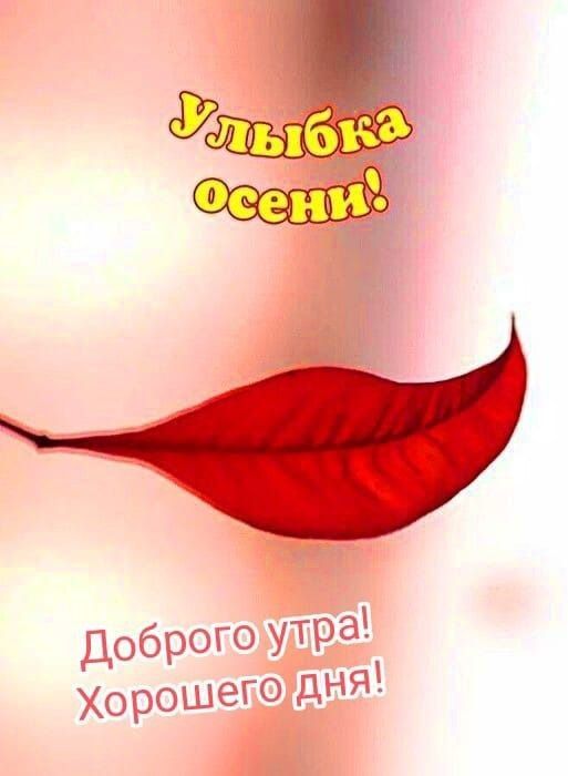 Улыбка осени!
Доброе утро! Хорошего дня!