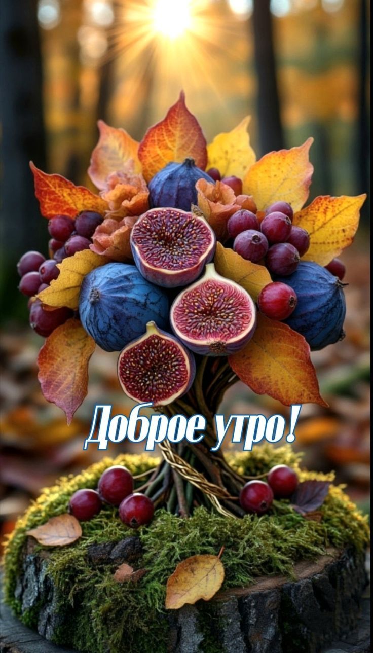 Доброе утро!