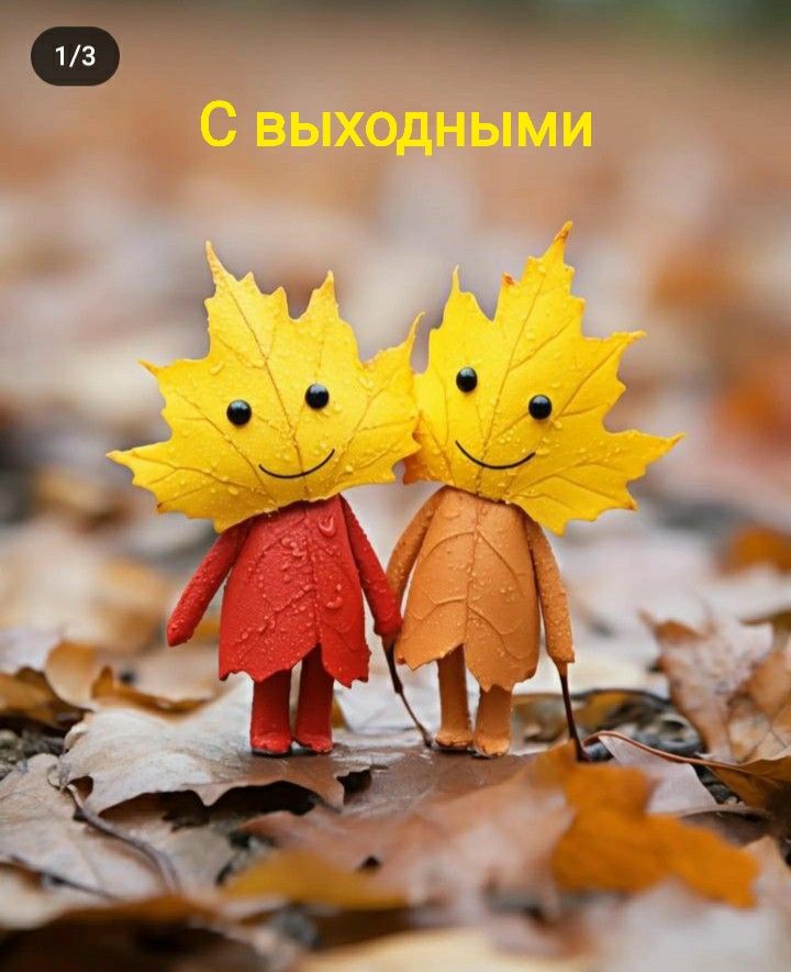 С выходными