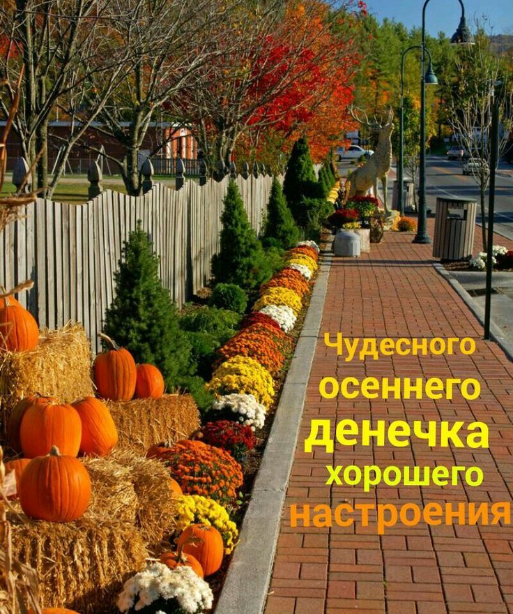 Чудесного осеннего денечка хорошего настроения