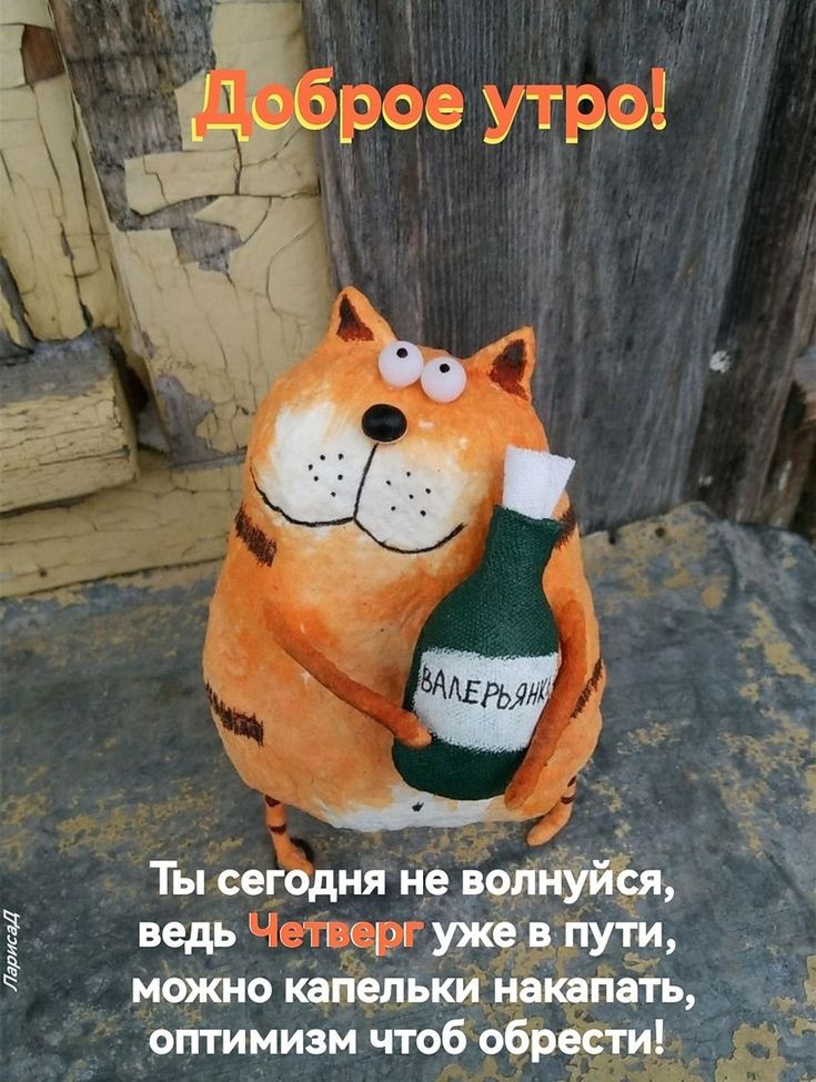 Доброе утро!
Ты сегодня не волнуйся, ведь Четверг уже в пути, можно капельки накапать, оптимизм чтоб обрести!
