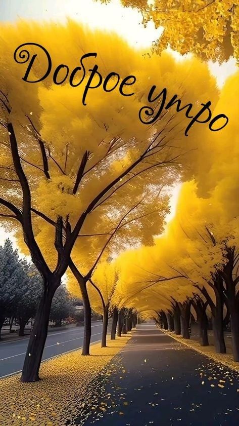 Доброе утро