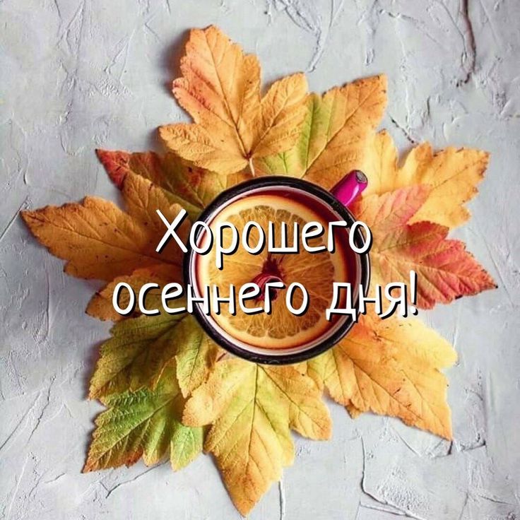 Хорошего осеннего дня!