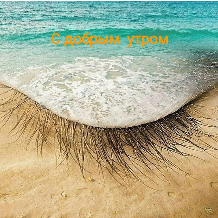 С добрым утром