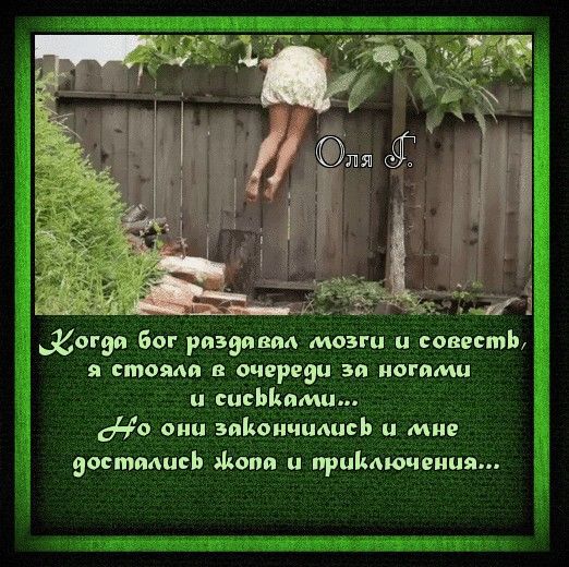 Когда бог раздавал мозги и совесть, я стояла в очереди за ногами и сиськами... Но они закончились и мне достались жопа и приключения...