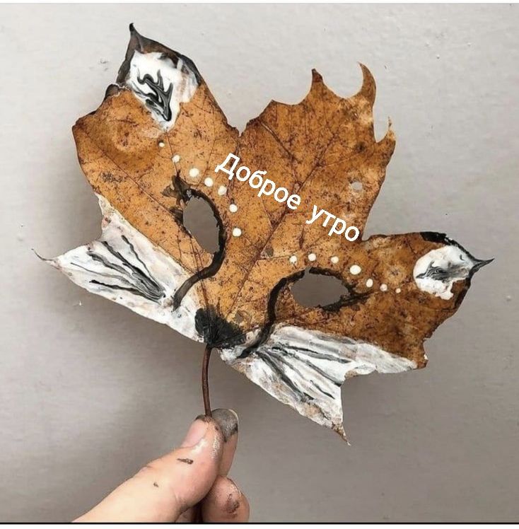 Доброе утро