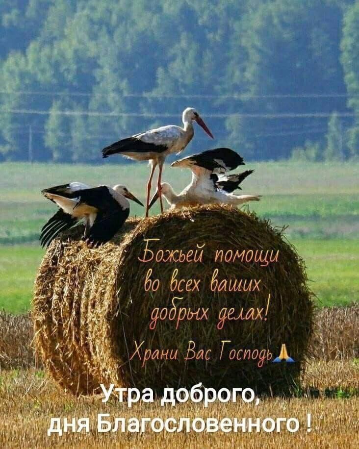 Божьей помощи во всех ваших добрых делах! Храни Вас Господь Утра доброго, дня Благословенного!