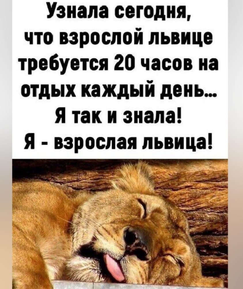 Узнала сегодня, что взрослой львице требуется 20 часов на отдых каждый день... Я так и знала! Я - взрослая львица!