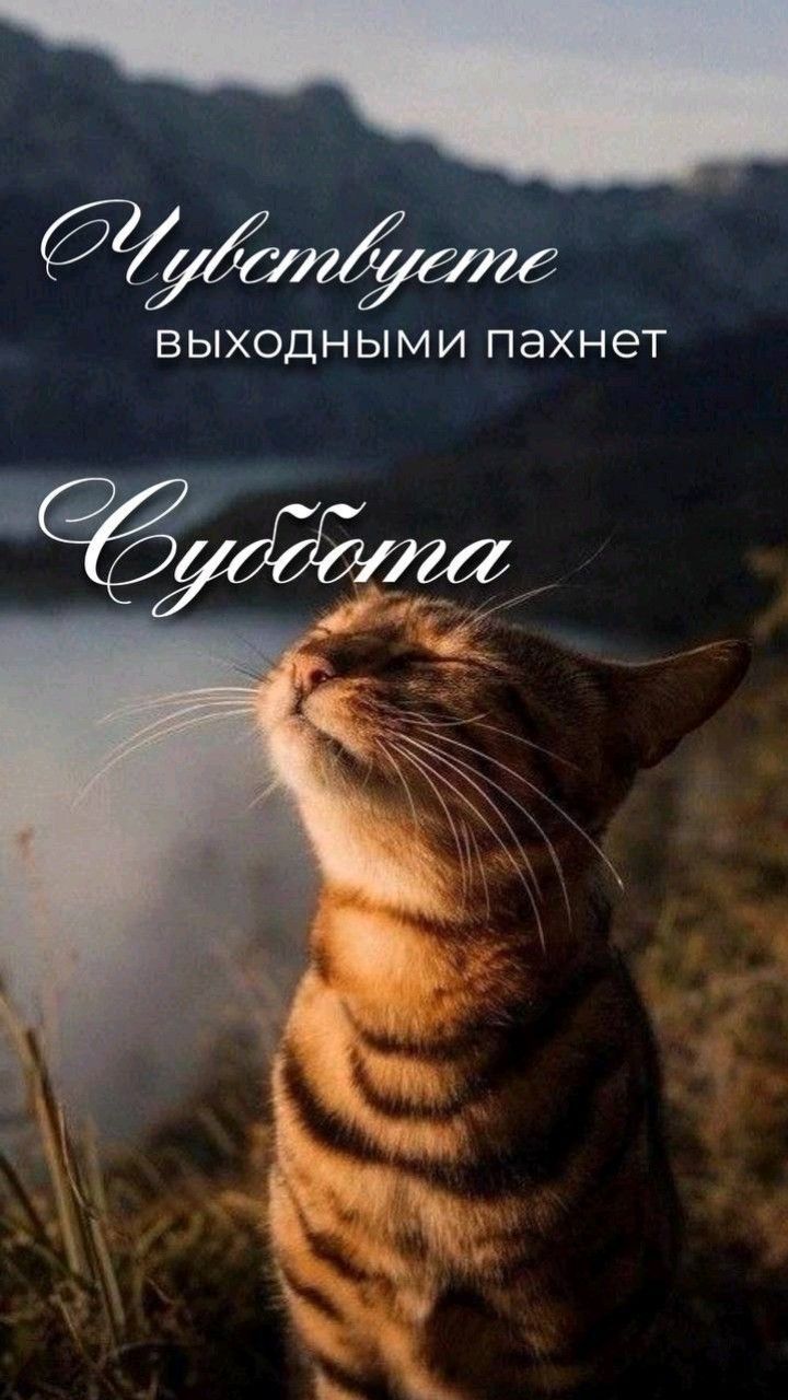 Чувствуете
выходными пахнет
Суббота