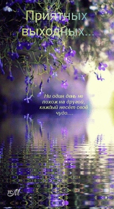 Приятных выходных...
Ни один день не похож на другой, каждый несёт своё чудо...