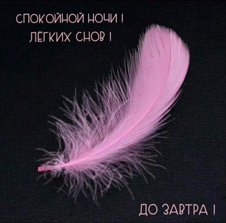 СПОКОЙНОЙ НОЧИ ! ЛЁГКИХ СНОВ ! ДО ЗАВТРА !