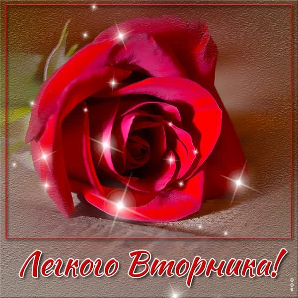 Лепкою Вторника!