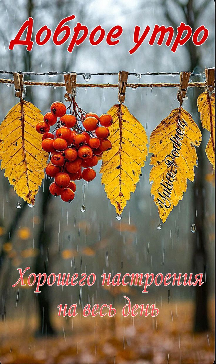 Доброе утро
Хорошего настроения на весь день
