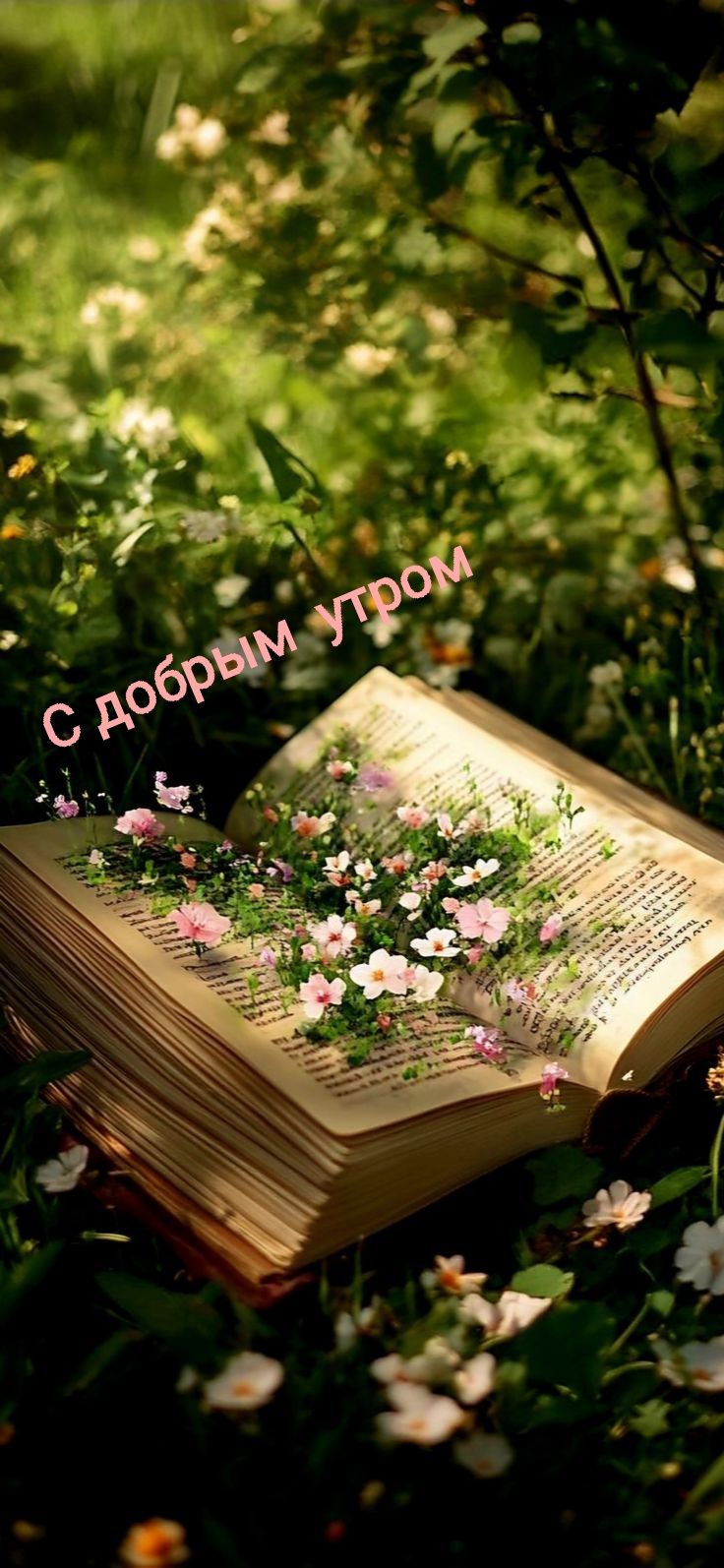 С добрым утром