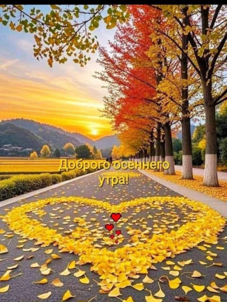 Доброе осеннего утра!
