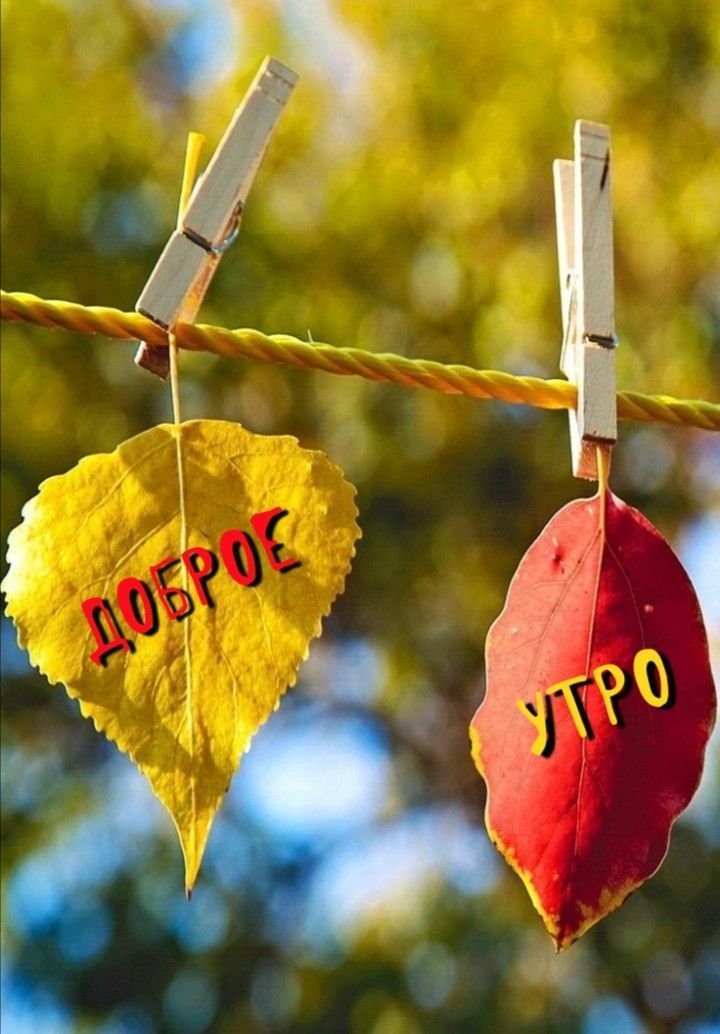 Доброе утро
