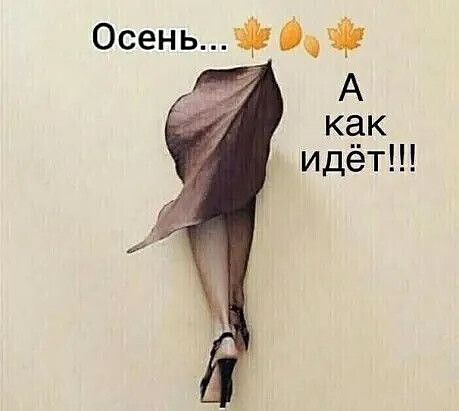 Осень... 🍁🍂🍁
А как идёт!!!